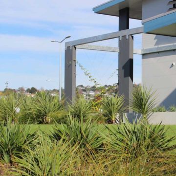 Whangarei Hospital Admin Building Landscape Architecture