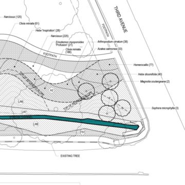 Detail of Mander Park Stream Planting schedule